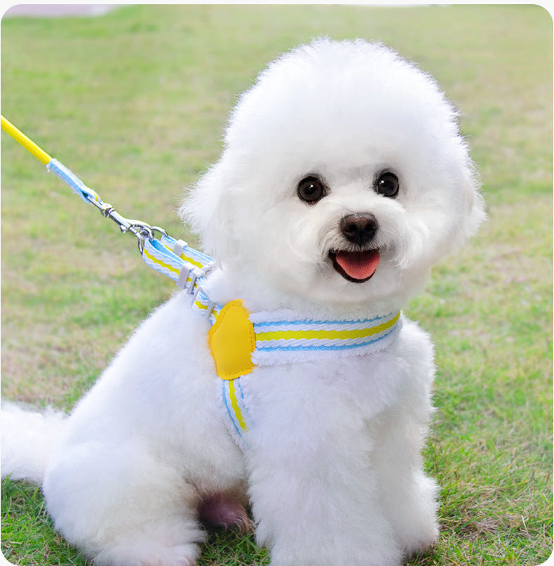 Pet Breathable Summer Chest Vest Leash Walking Harness