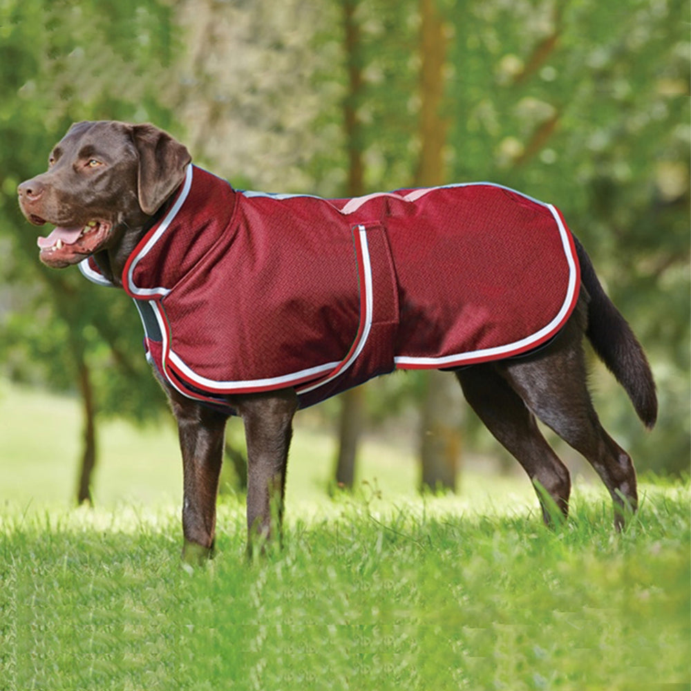 Warm Waterproof Pet Jacket Casual Autumn Winter Wear