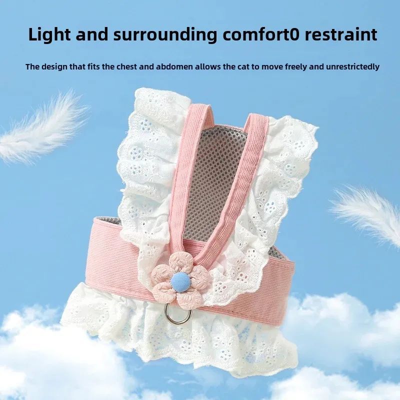 Pet Leash and Collar Summer Safety Walking Rope for Pets