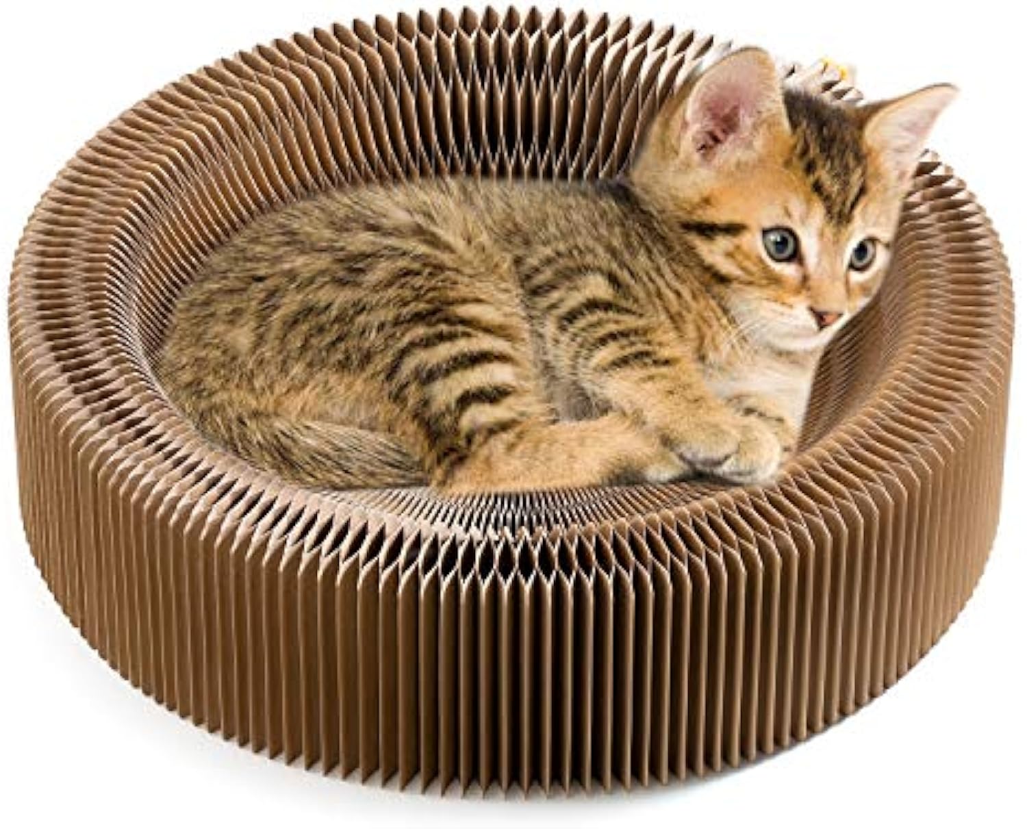 Collapsible Cardboard Pet Scratcher Lounge Round Bed
