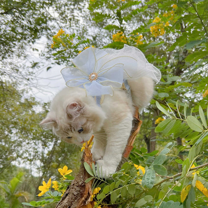 Multi-Layer Yarn Universal Pet Leash
