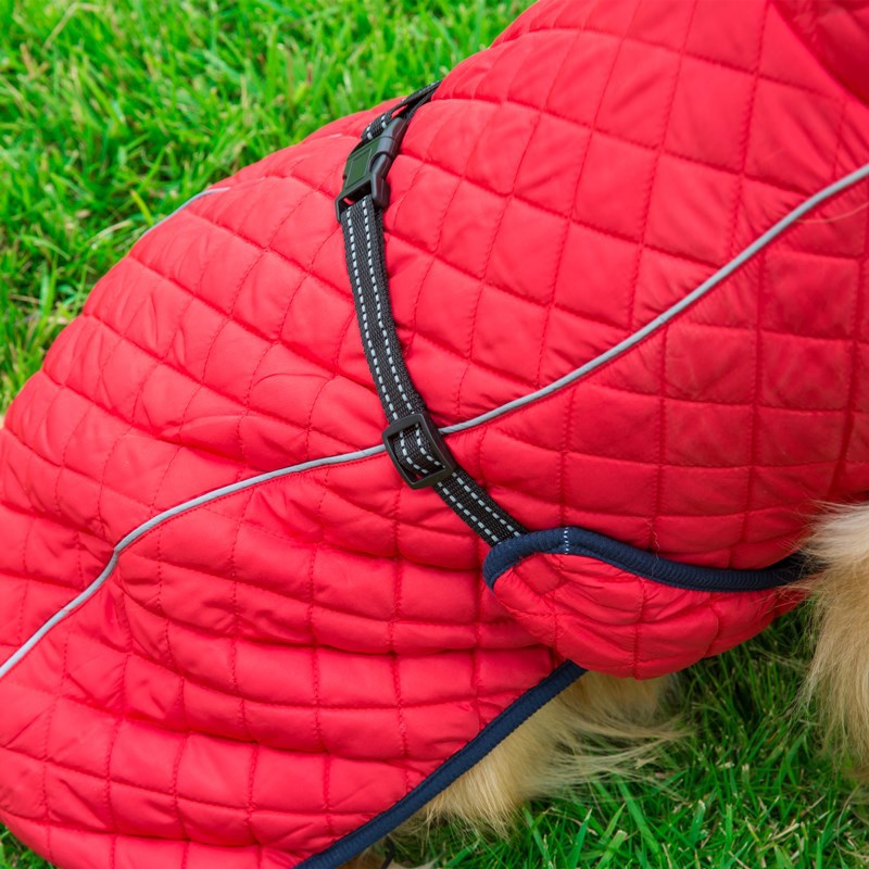 Adjustable Warm Pet Cotton Jacket Comfortable Winter Wear