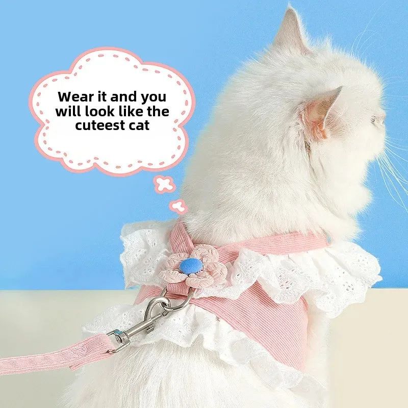 Pet Leash and Collar Summer Safety Walking Rope for Pets