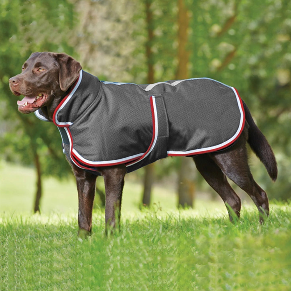 Warm Waterproof Pet Jacket Casual Autumn Winter Wear