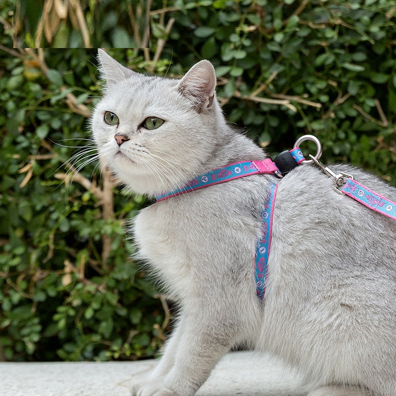 Pet Chest Strap Harness Vest Adjustable Leash for Small Pets