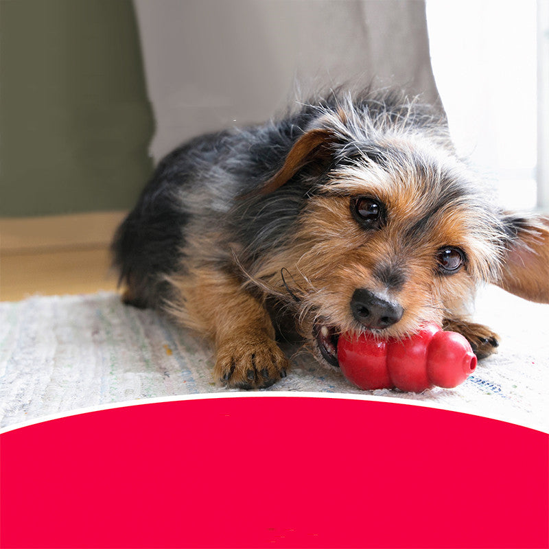 Bite-Resistant Rubber Pet Chew Toy