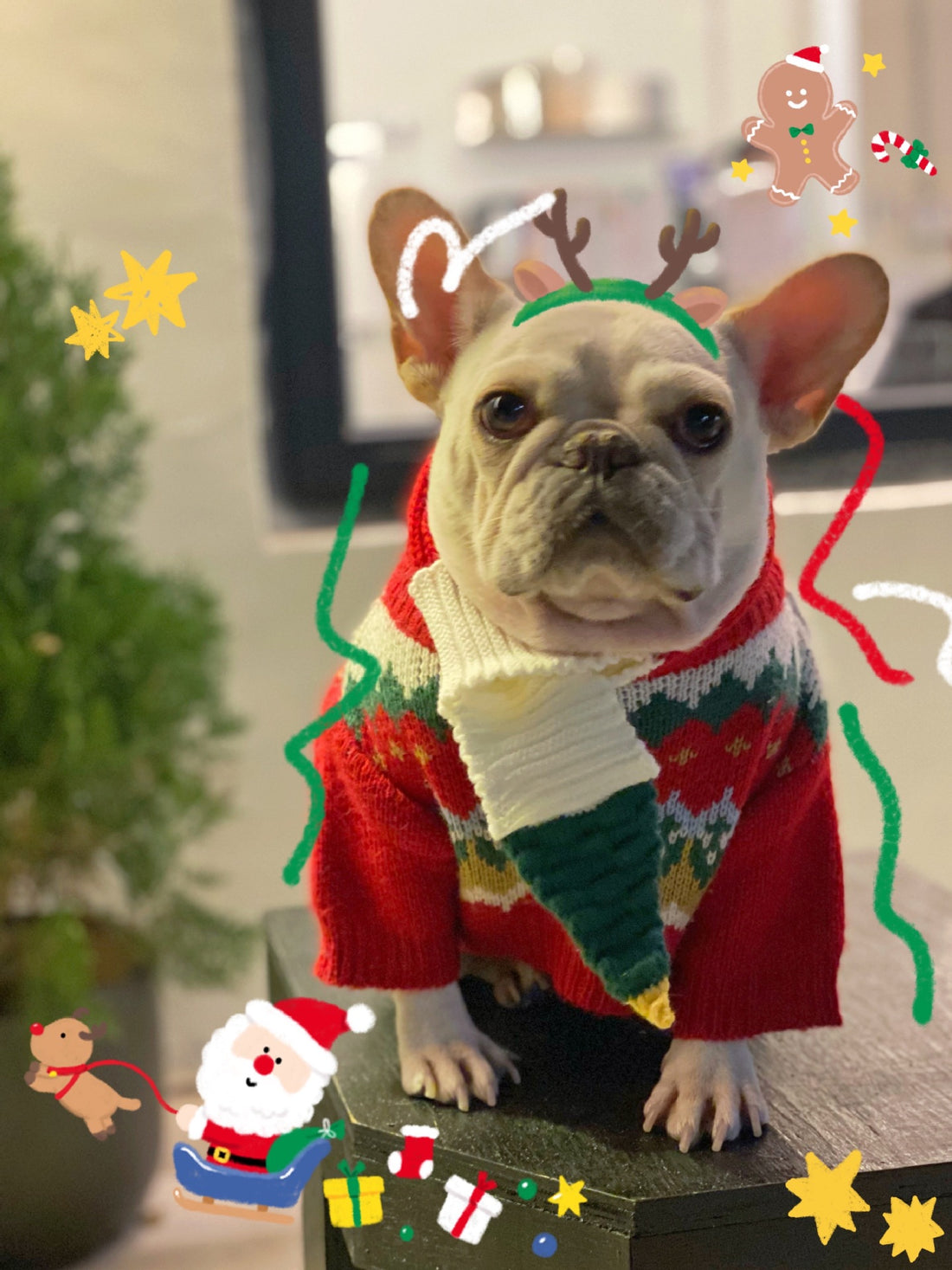 Festive Pet Christmas Sweater Cozy Holiday Apparel