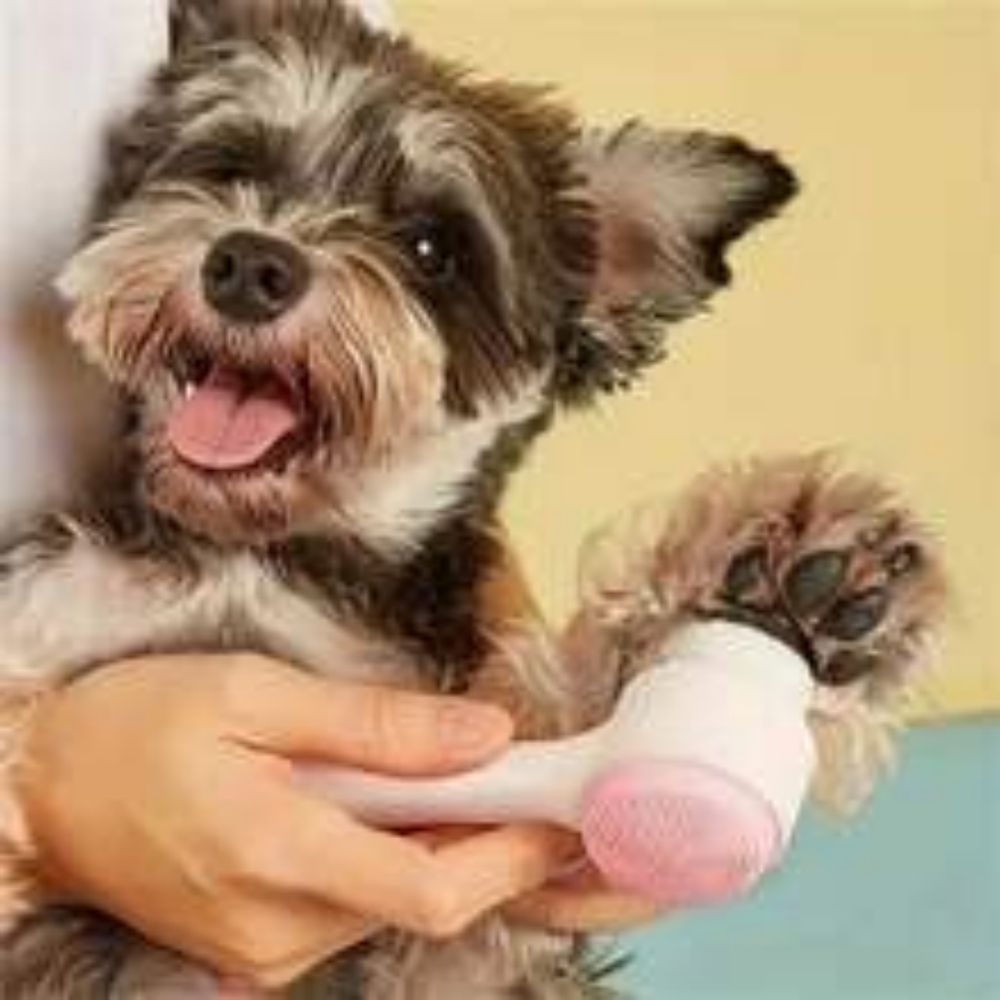Easy-Clean Nylon Pet Paw Brush Grooming And Massage Tool