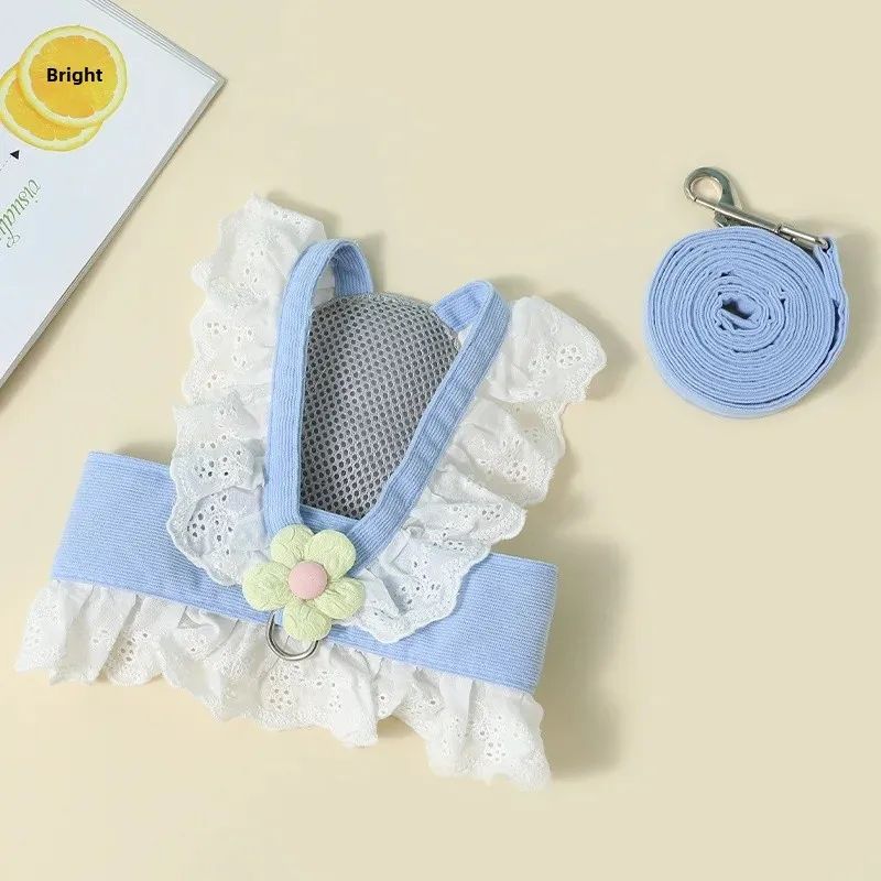 Pet Leash and Collar Summer Safety Walking Rope for Pets