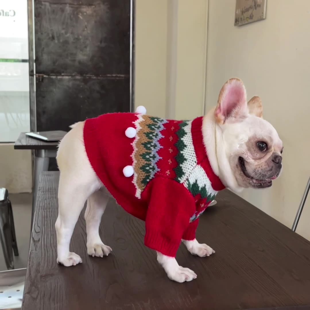Festive Pet Christmas Sweater Cozy Holiday Apparel