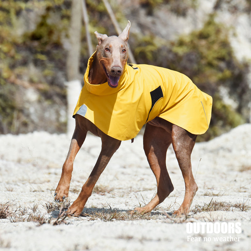 Pet Shell Jacket Waterproof Windproof Raincoat Outdoor Wear