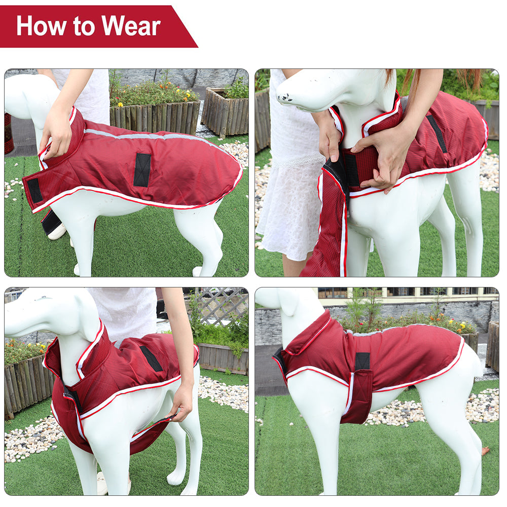 Warm Waterproof Pet Jacket Casual Autumn Winter Wear
