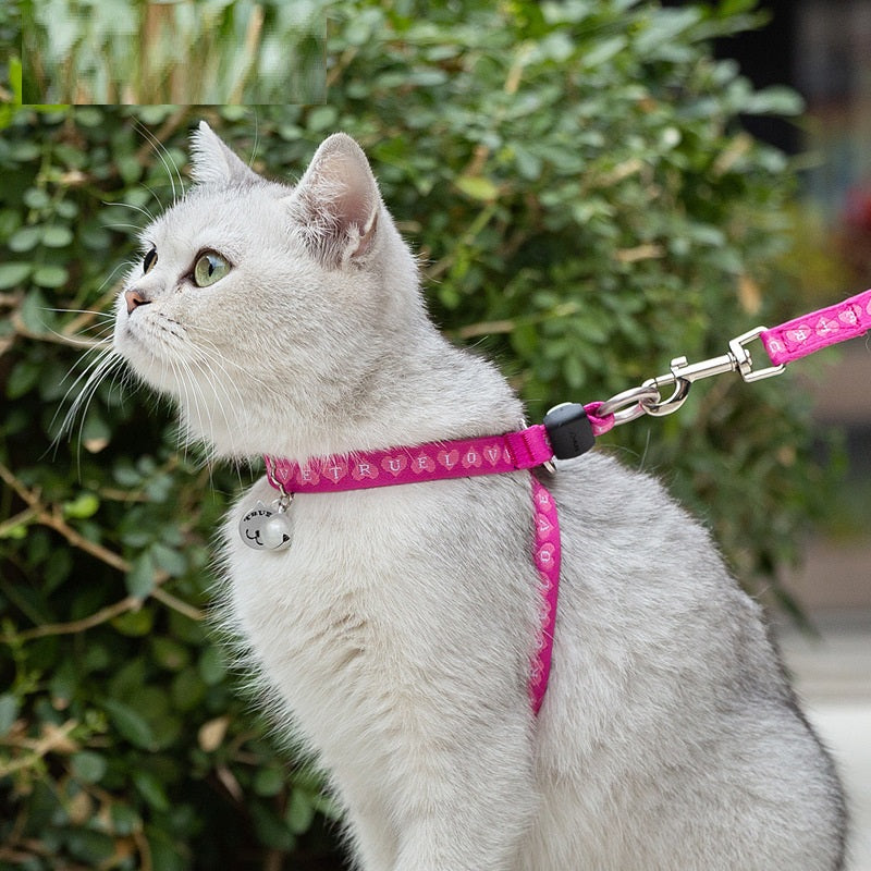 Pet Chest Strap Harness Vest Adjustable Leash for Small Pets