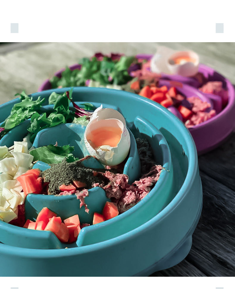 Slow-Feeding Anti-Choke Portable Pet Food Bowl